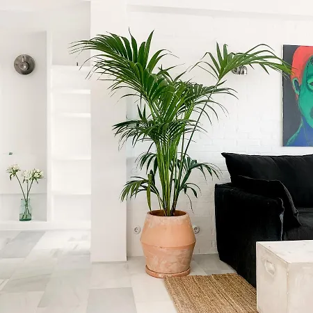 Golden Mile Designer Penthouse * Marbella