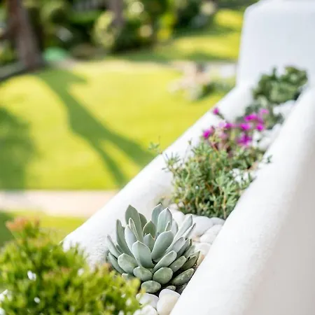 Apartmán Golden Mile Designer Penthouse