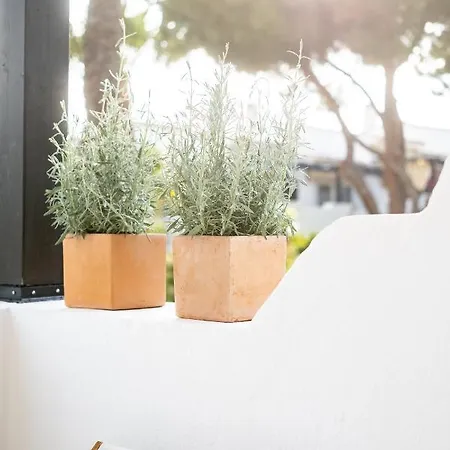 Golden Mile Designer Penthouse מארבלה