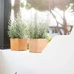 Golden Mile Designer Penthouse Μαρμπέλλα